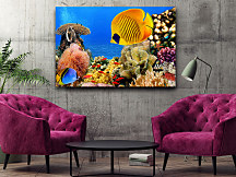 obraz ryby rybky rybyičky koraly more oceán